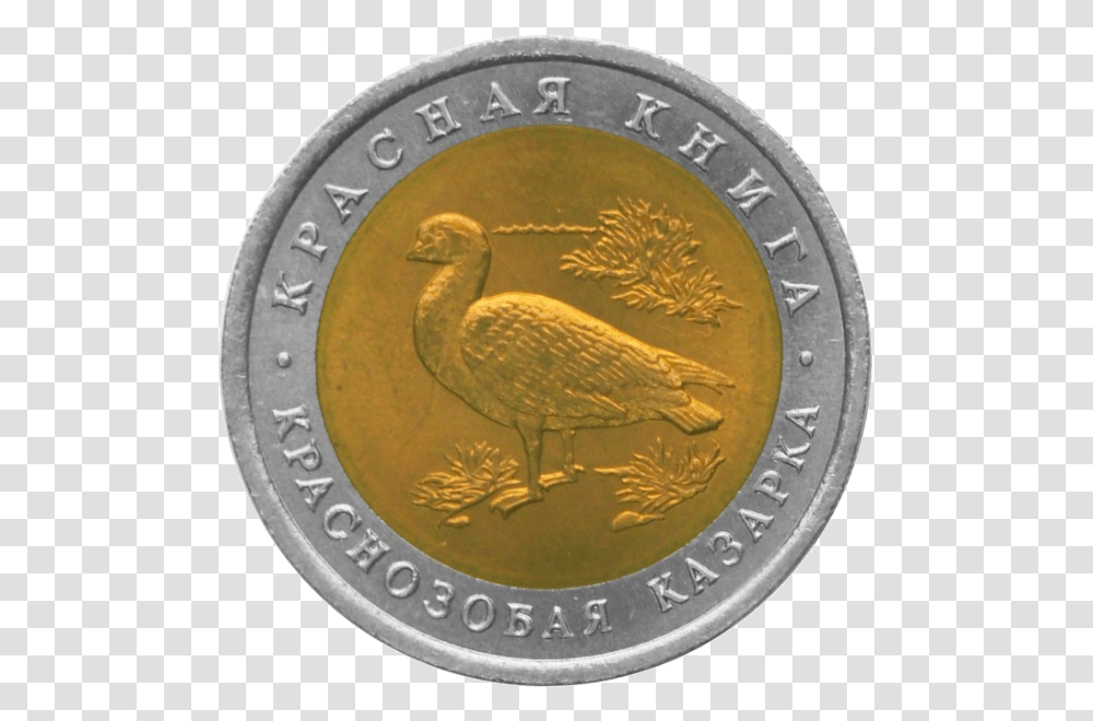 0002r Krasnozobaya Kazarka Coin, Bird, Animal, Money, Gold Transparent Png