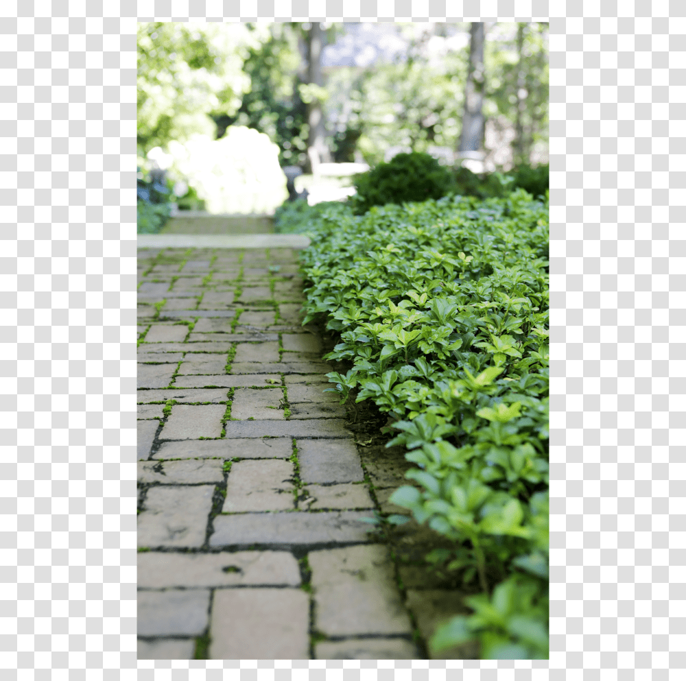 0094 Copy, Flagstone, Walkway, Path, Outdoors Transparent Png