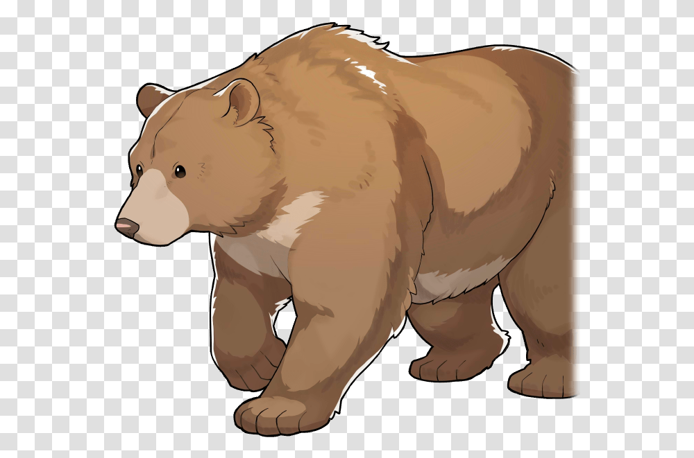 01 Base Portrait Grizzly Bear, Wildlife, Animal, Mammal, Brown Bear Transparent Png