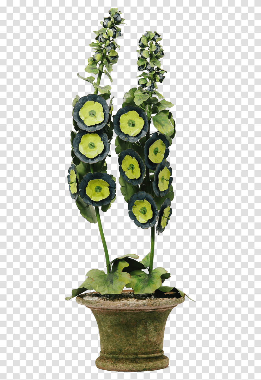 016 O, Plant, Cactus, Pineapple, Fruit Transparent Png