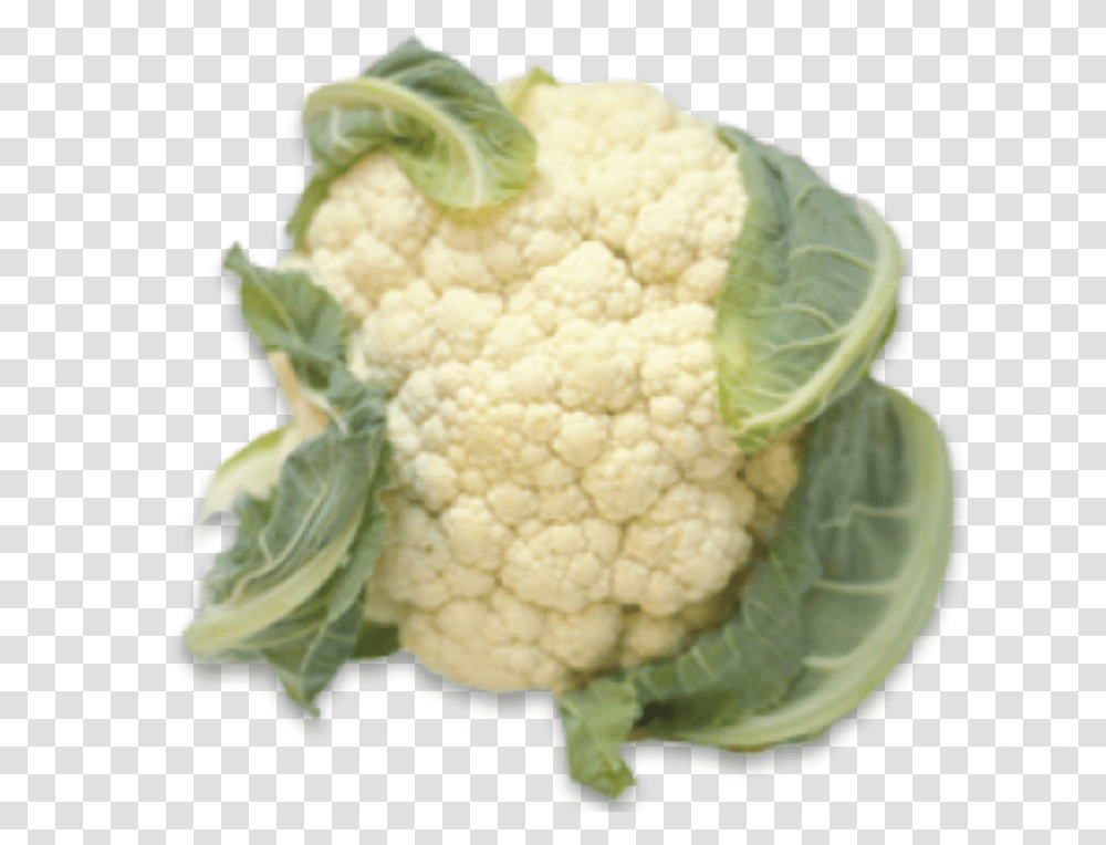Single Vegetables Images With Names, Cauliflower, Plant, Food Transparent Png