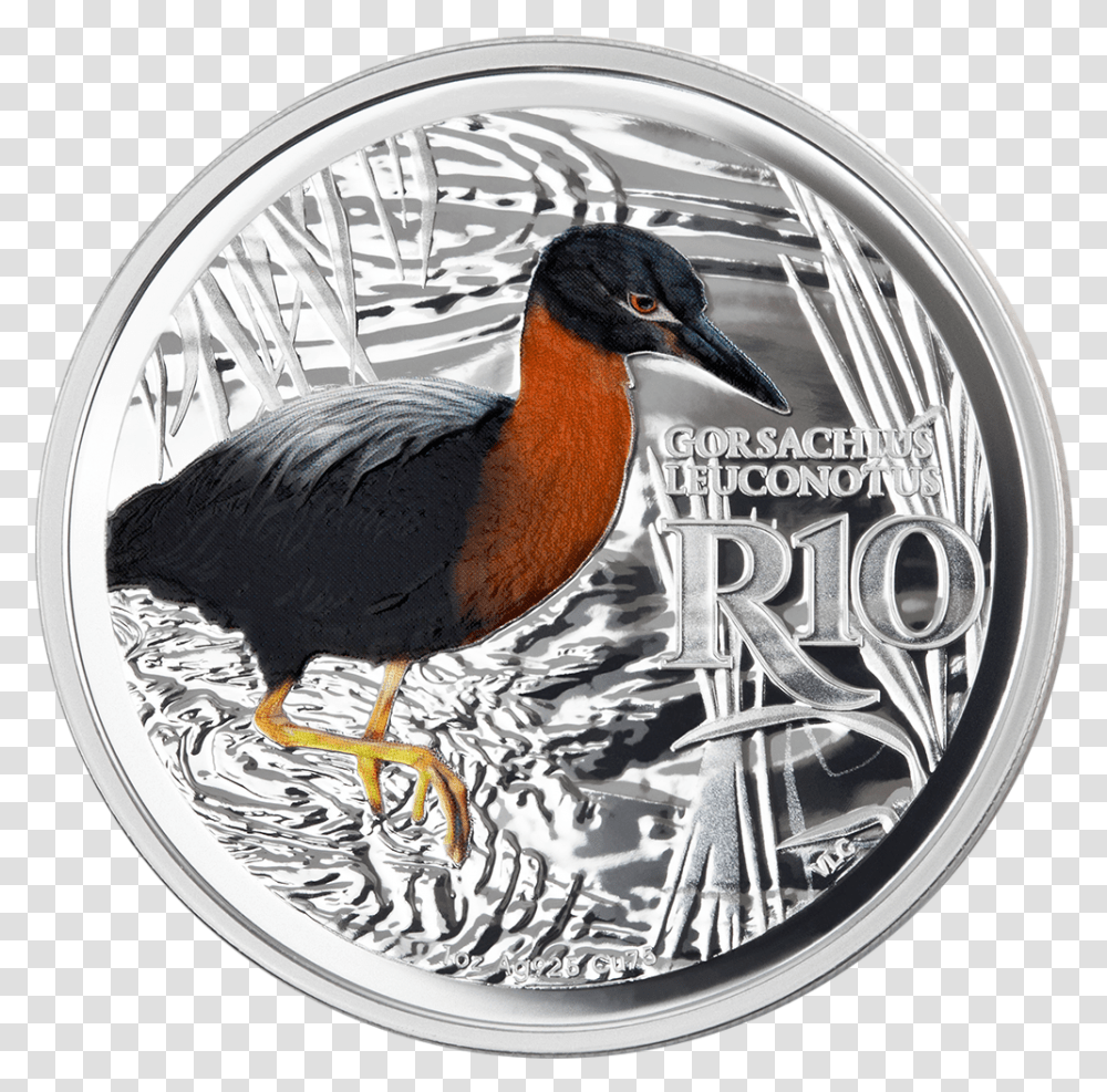 1 Duck, Bird, Animal, Coin, Money Transparent Png