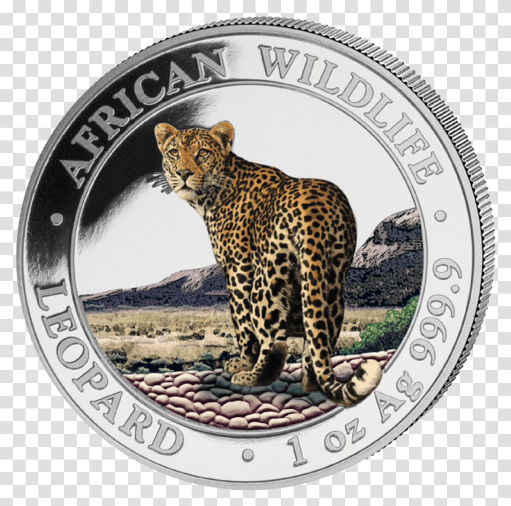 1 Somalia African Wildlife Coin 2018, Mammal, Animal, Panther, Leopard Transparent Png