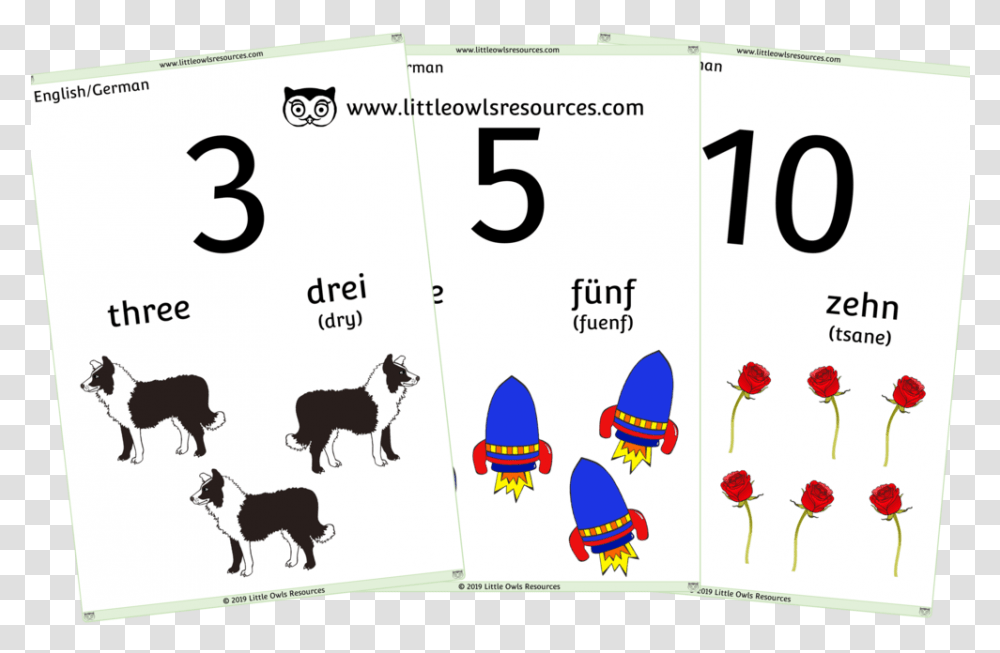 10 Counting Cover Counting Numbers 0 To, Dog, Pet Transparent Png