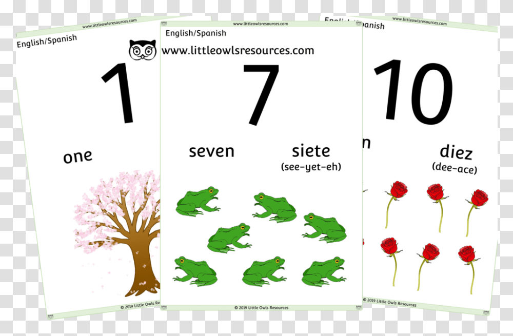 10 Counting Cover, Number, Bird Transparent Png
