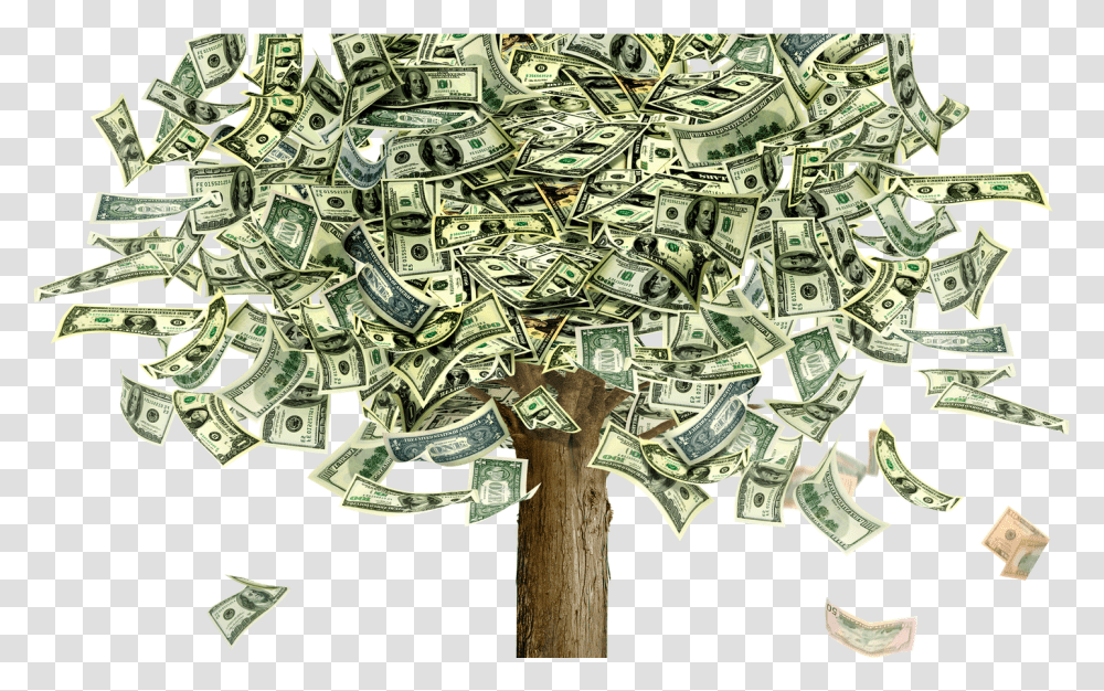 100 Dollar Money Tree Transparent Png