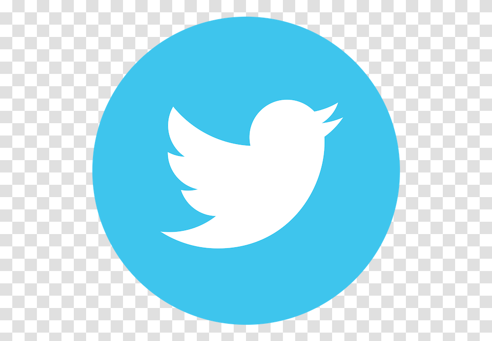 100 Percent Twitter Logo, Trademark, Animal, Sphere Transparent Png