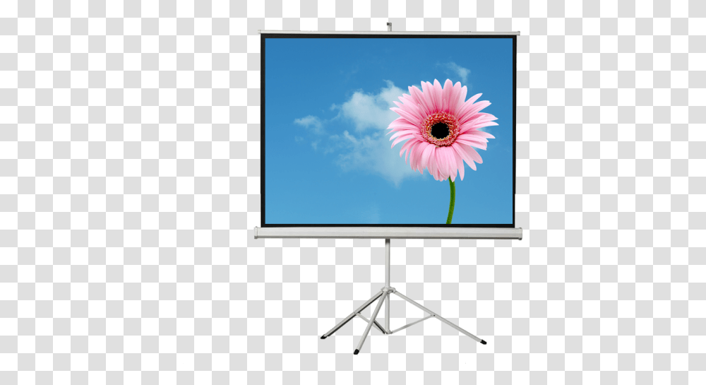 1024 Image Flower, Projection Screen, Electronics, Monitor, Display Transparent Png