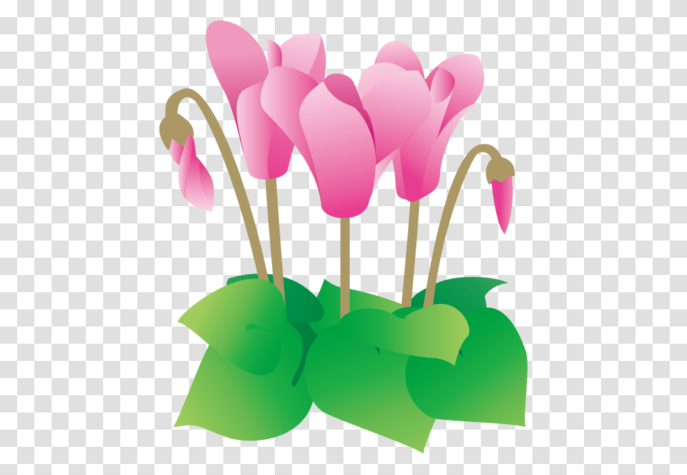13 Cyclamen Illustration, Plant, Flower, Blossom, Balloon Transparent Png