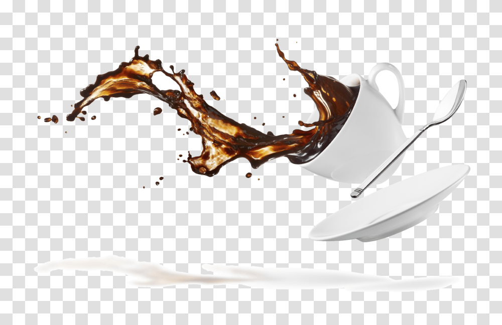 13th December 2016 From Spilled Coffee, Lobster, Sea Life, Food, Animal Transparent Png