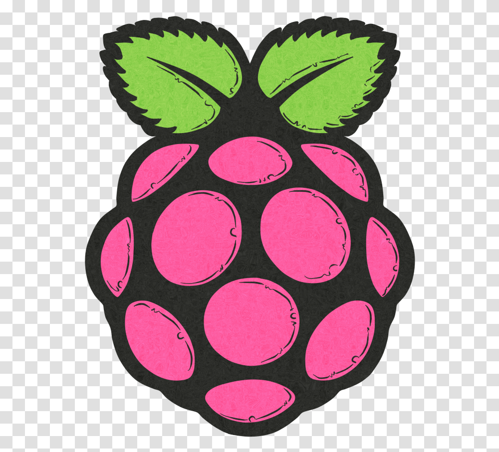 Raspiconfig Raspberry Pi Log, Plant, Rug Transparent Png