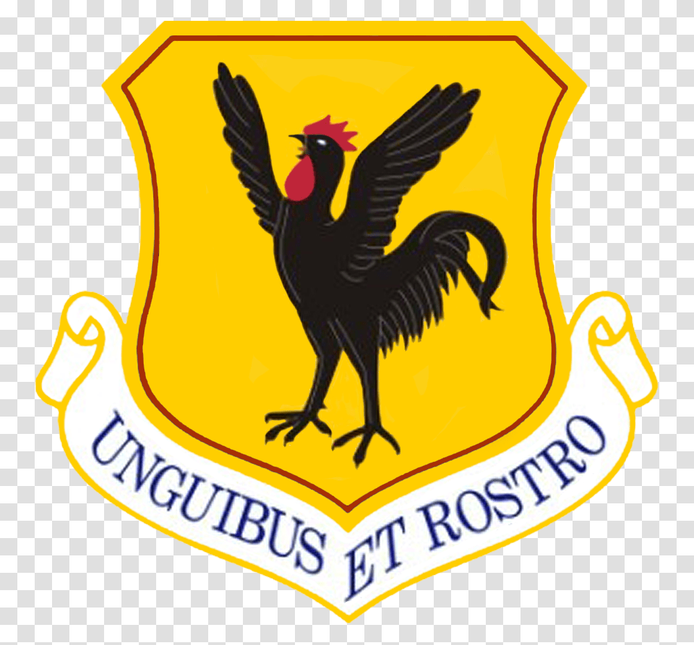 18th Wing 12th Flying Training Wing, Emblem, Logo, Trademark Transparent Png