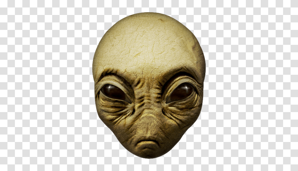 2 Alien, Fantasy, Head, Tattoo, Skin Transparent Png