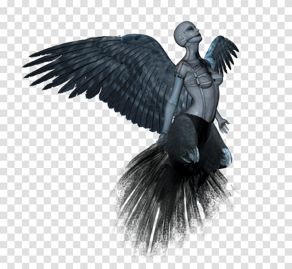 2 Creature, Fantasy, Bird, Animal Transparent Png