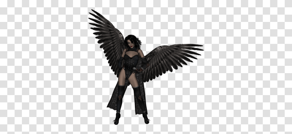 2 Dark Angel File, Fantasy, Bird, Animal Transparent Png