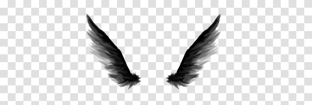 2 Dark Angel Pic, Fantasy, Bird, Animal, Flying Transparent Png
