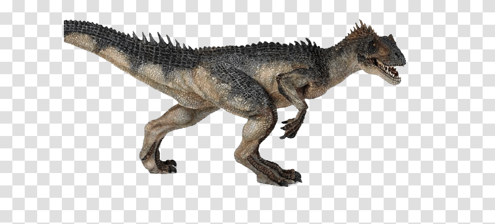 2 Dinosaur Picture, Fantasy, Reptile, Animal, T-Rex Transparent Png