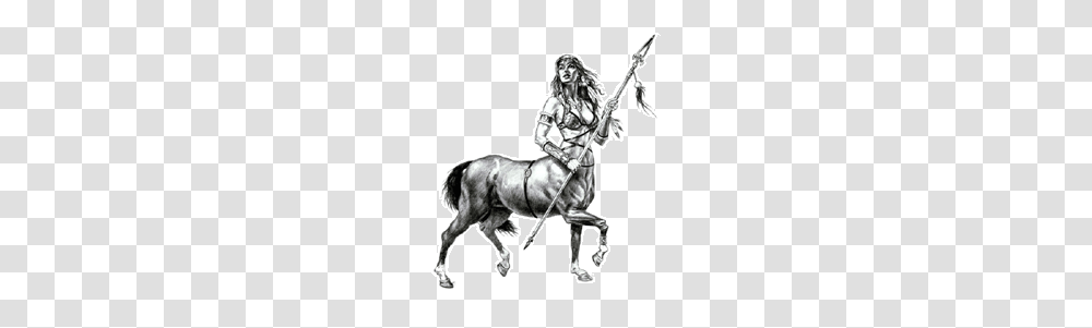 2 Female Centaur Picture, Fantasy, Person, Human, Horse Transparent Png