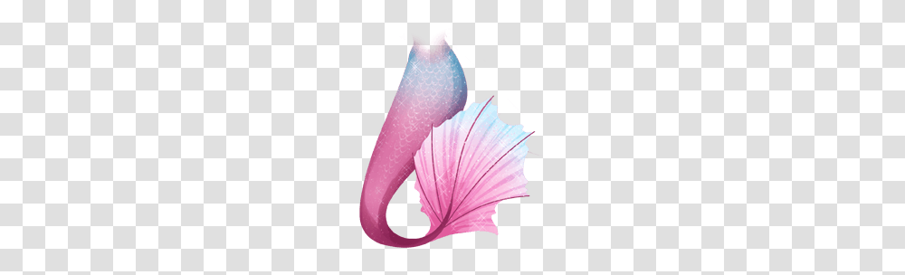 2 Mermaid Tail Picture, Fantasy, Plant, Petal, Flower Transparent Png