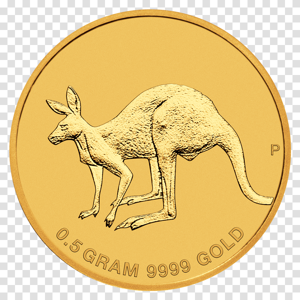 2 Mini Roo 2019, Kangaroo, Mammal, Animal, Wallaby Transparent Png