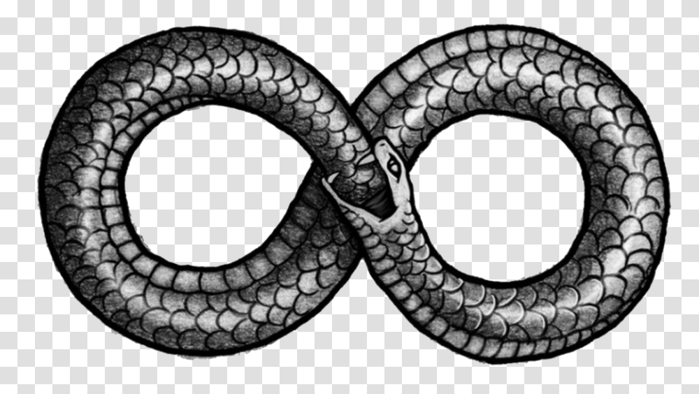 2 Ouroboros Picture, Fantasy, Snake, Reptile, Animal Transparent Png