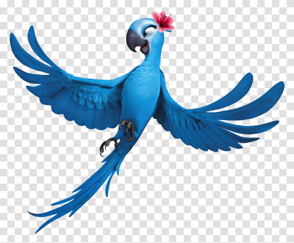 2 Rio Rio Jewel, Bird, Animal, Blue Jay, Beak Transparent Png