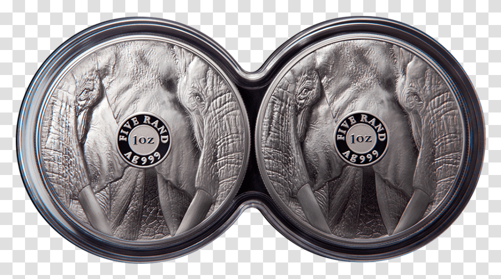 2 Silver Coin, Money, Snake, Reptile, Animal Transparent Png