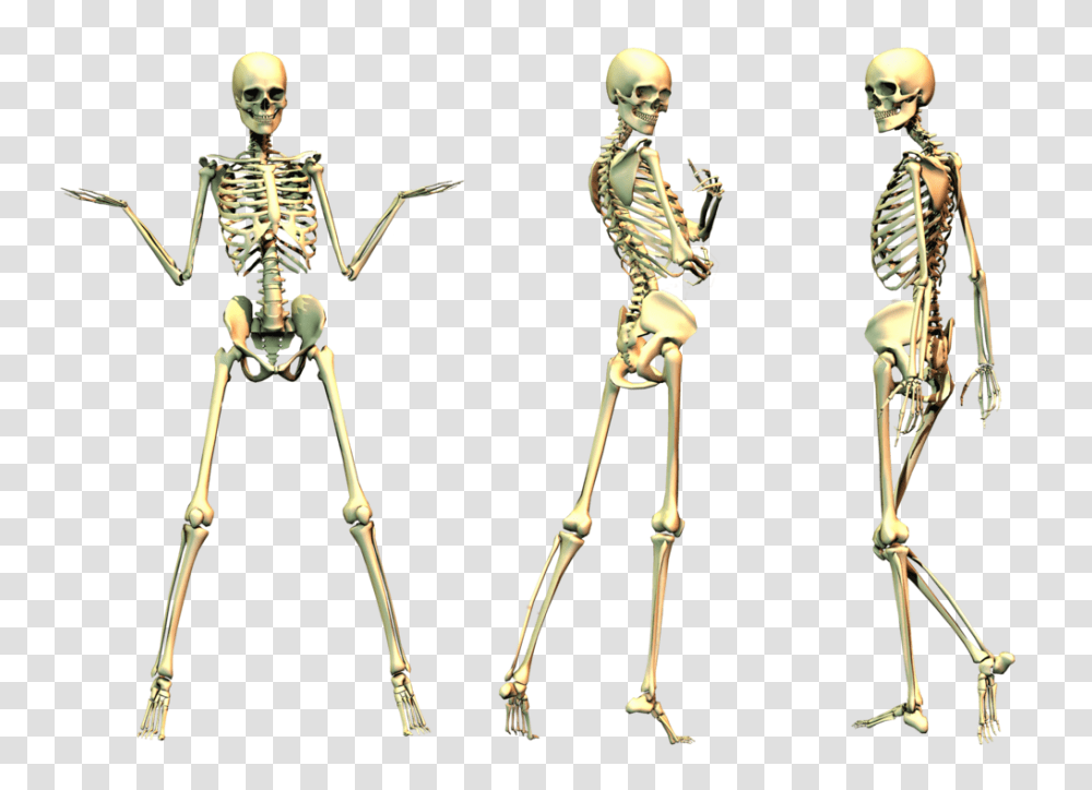 2 Skeleton File, Fantasy, Person, Human, Bow Transparent Png