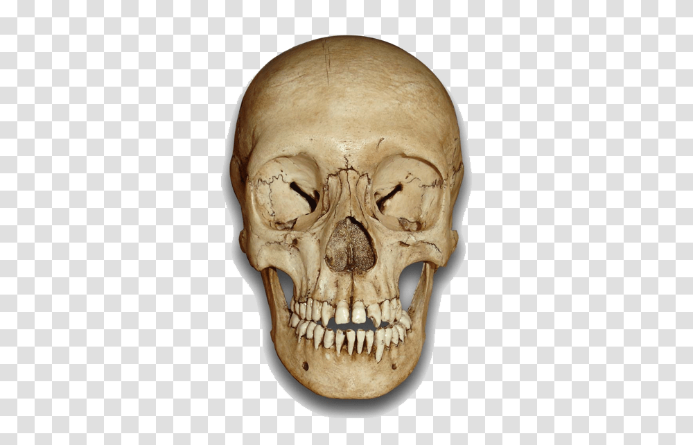 2 Skeleton Head File, Fantasy, Jaw, Teeth, Mouth Transparent Png