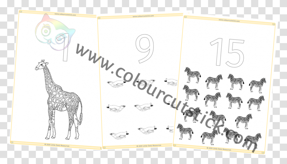 20 Count Zoo Animals Colouring Ccs Cover Giraffe, Page, Wildlife, Mammal Transparent Png