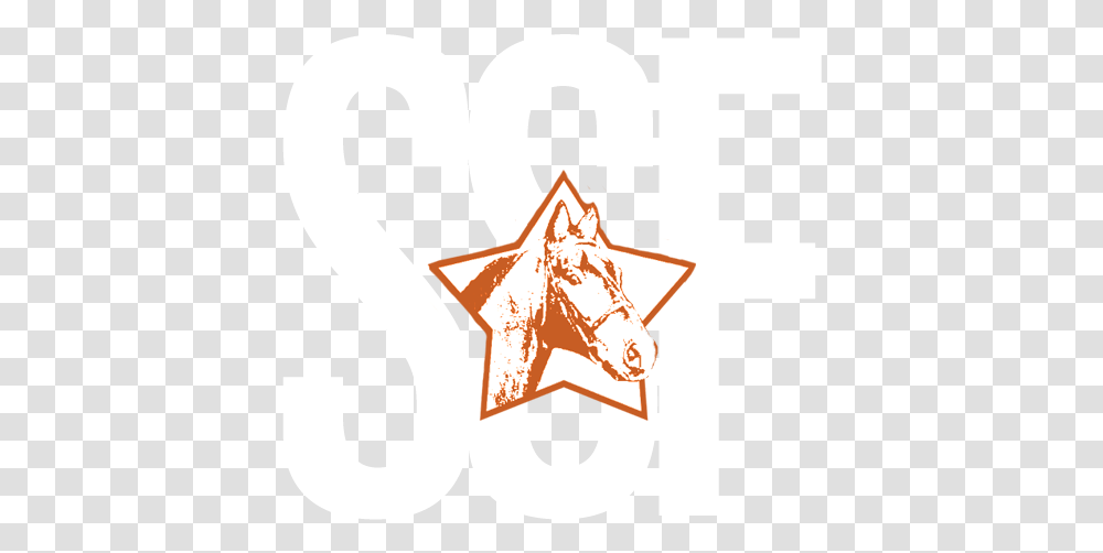 2011 Shooting Star Farm Language, Symbol, Star Symbol, Logo, Trademark Transparent Png