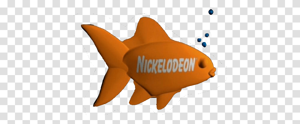 2014 Nickelodeon Fish Logo, Animal, Goldfish, Amphiprion, Sea Life Transparent Png