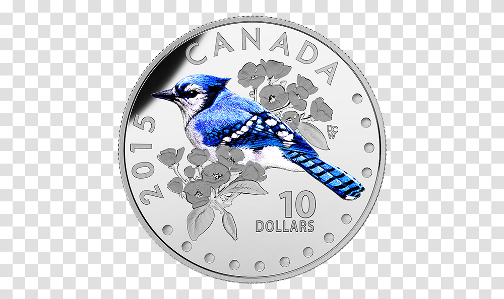 2015 10 Colourful Songbirds Of Canada Blue Jay, Animal, Rug, Bluebird Transparent Png