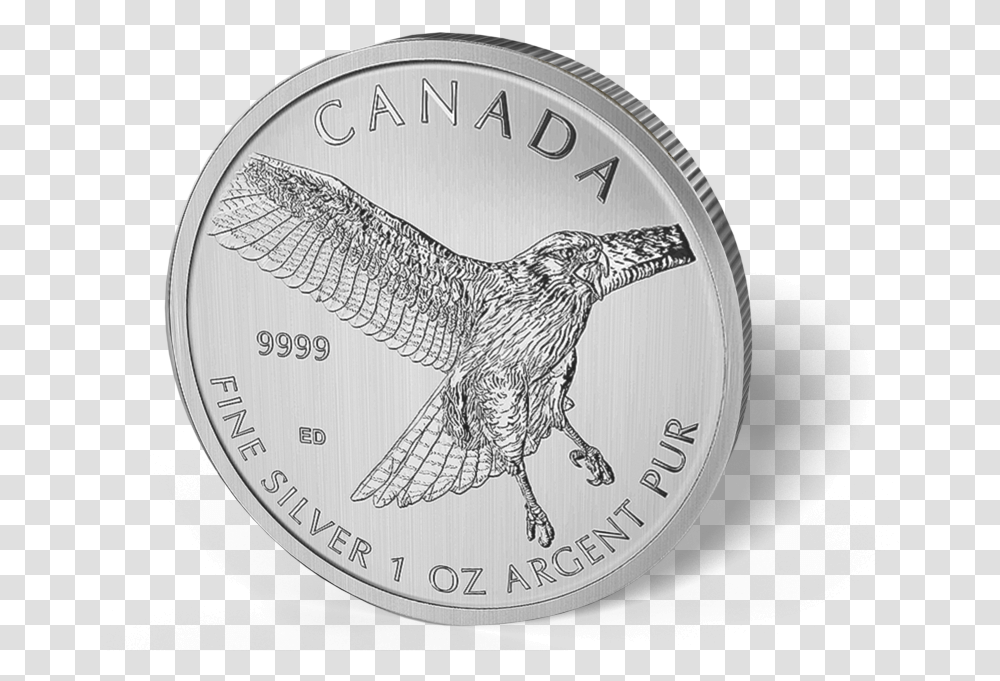 2015 Canadian 1oz Silver Red Tailed Hawk 5 Coin, Money, Nickel, Bird, Animal Transparent Png