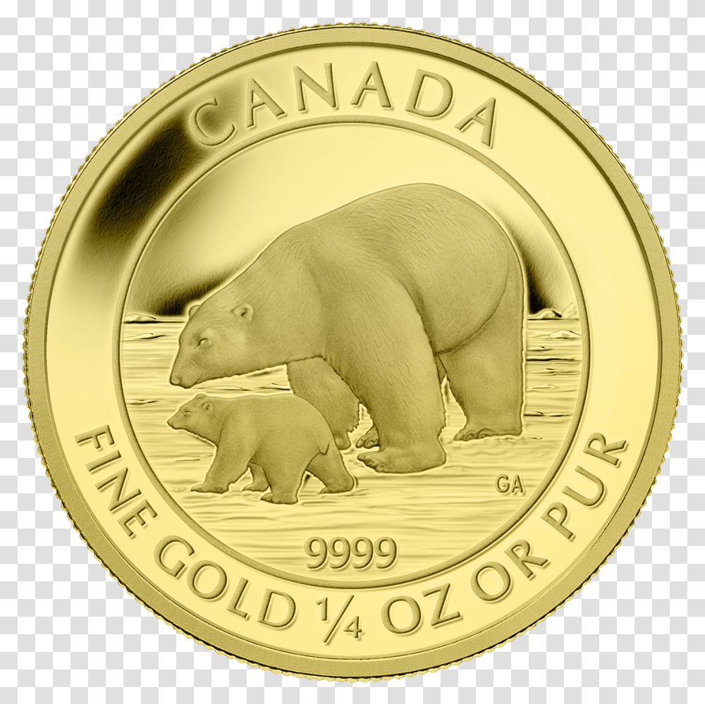 2015 Canadian Gold Coin Polar Bear And Cub, Money, Jacuzzi, Tub, Hot Tub Transparent Png