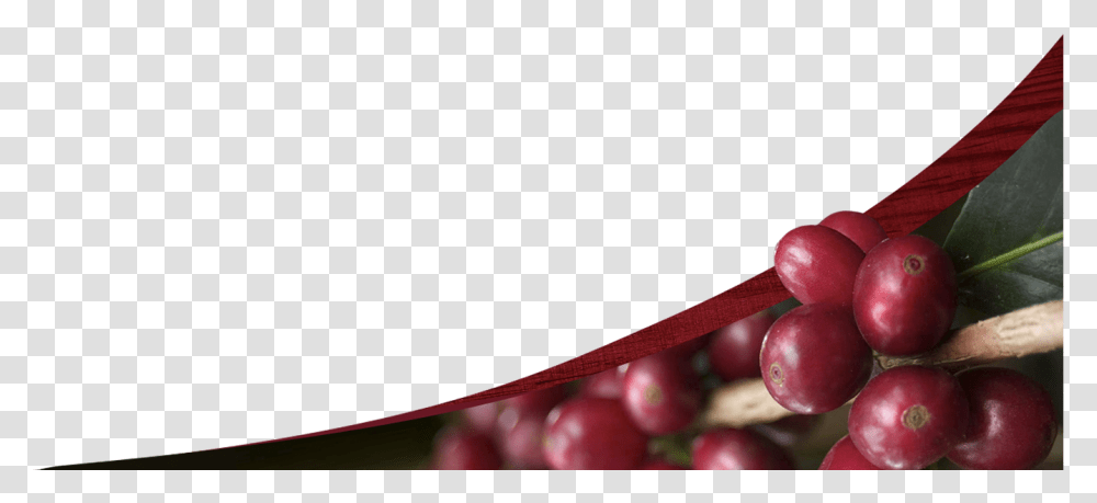 2016 Caf Don Justo, Plant, Food, Fruit, Grapes Transparent Png