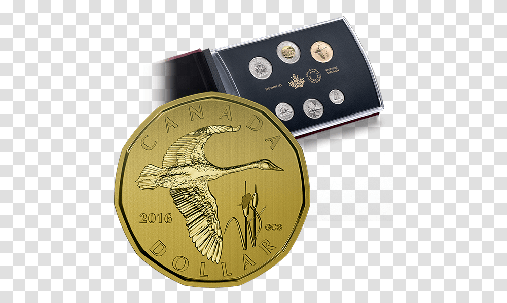 2016 Canada Specimen Set, Gold, Money, Coin, Bird Transparent Png