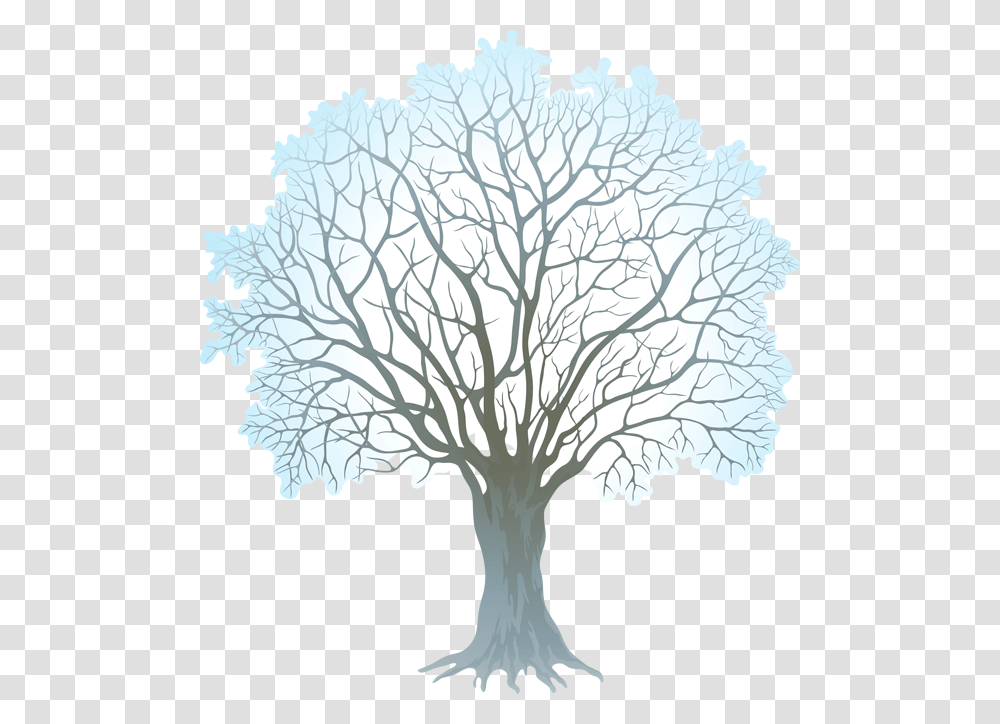 2016 Dbclipart Clipartall Winter Tree Clipart, Plant, Tree Trunk, Painting, Oak Transparent Png
