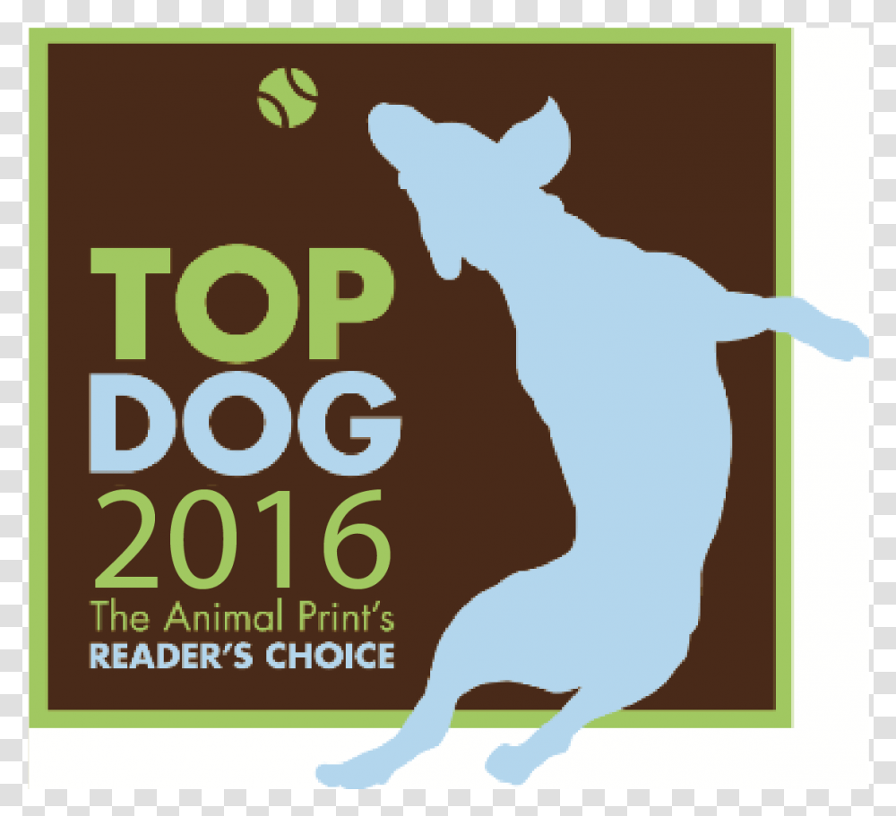 2016 Top Dog Winners Ri Animal Medical Center And Four Poster, Advertisement, Flyer, Paper, Brochure Transparent Png