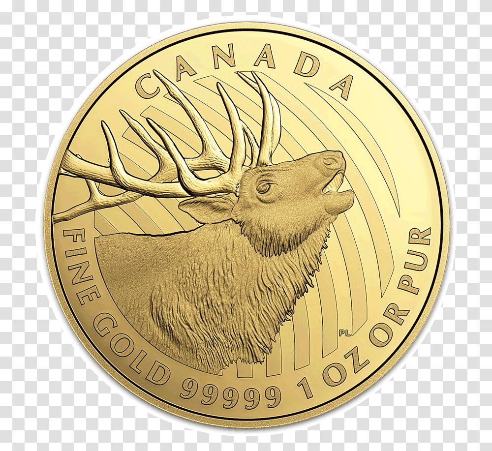 2017 Bugling Elk Canadian Gold Coin - Montgomery Chandler 2020 Maple Gram, Money, Gold Medal, Trophy Transparent Png