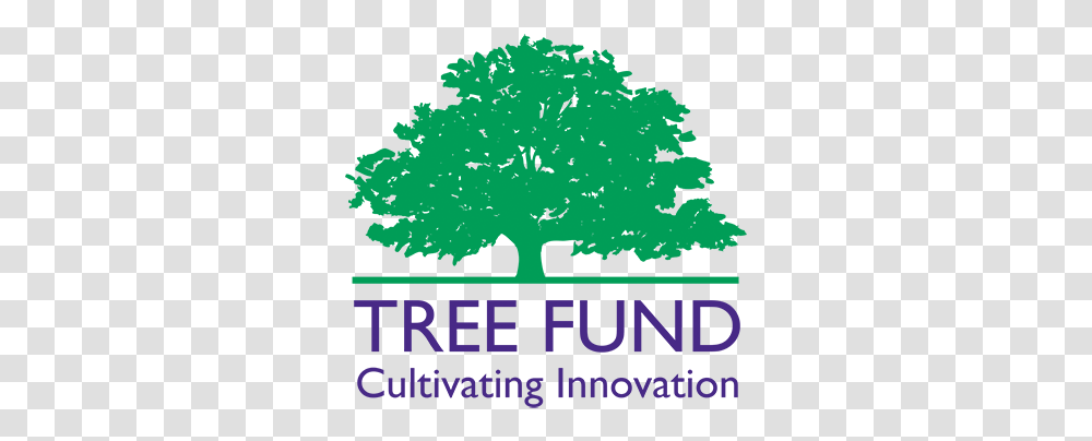 2017 Tree Fund Logo, Poster, Advertisement, Plant, Graphics Transparent Png