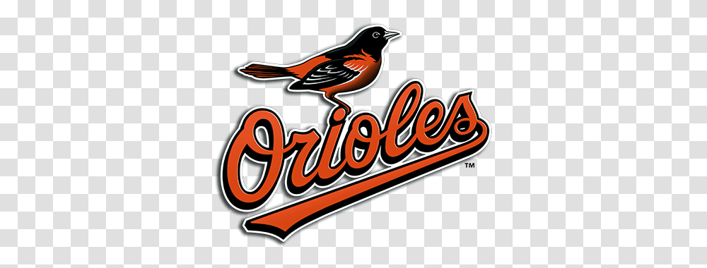 2017 Video Prospect Library 2080 Baseball Baltimore Orioles Logo, Bird, Animal, Robin, Text Transparent Png