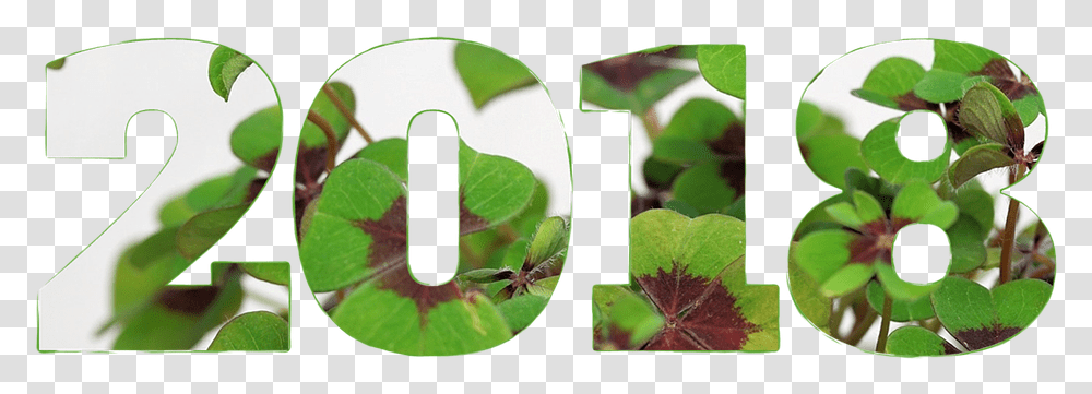 2018 Boldog J Vet, Leaf, Plant, Jar, Vase Transparent Png