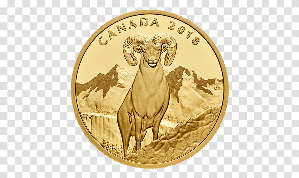 2018 Canada Gold Bighorn, Money, Coin, Sheep, Mammal Transparent Png