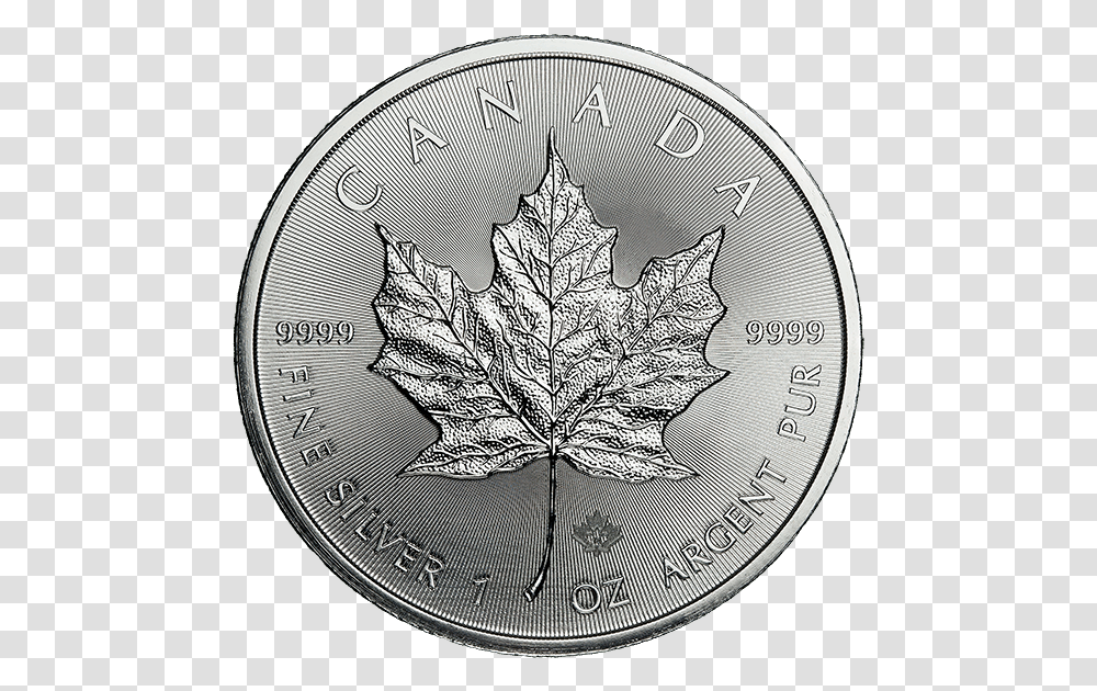 2018 Canadian Silver Maple Leaf Coin, Money, Cat, Pet, Mammal Transparent Png
