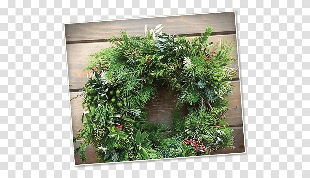 2018 Holiday Wreath Workshop High Hand Nursery Christmas Day Transparent Png