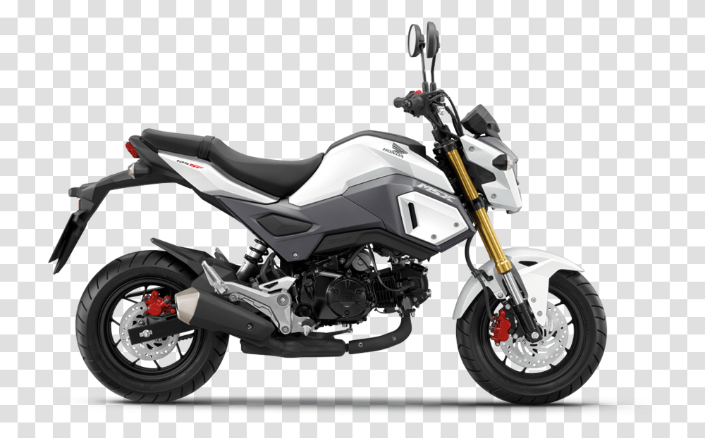 2018 Honda Grom, Motorcycle, Vehicle, Transportation, Machine Transparent Png
