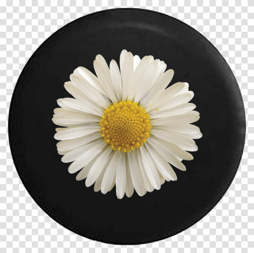 2018 Jeep Wrangler Tire Cover With Backup Camera, Plant, Daisy, Flower, Daisies Transparent Png
