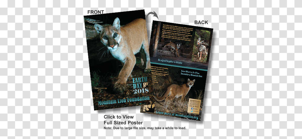 2018 Mountain Lion Earth Day Poster Cougar, Wildlife, Animal, Mammal, Cat Transparent Png
