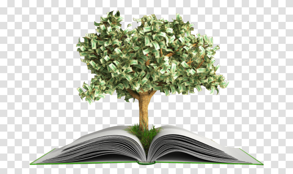 Edu004 Open Book With Tree, Potted Plant, Vase, Jar, Pottery Transparent Png